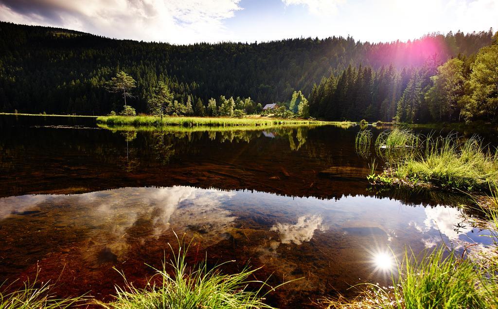 Ferienhotel Hubertus Bodenmais Dış mekan fotoğraf
